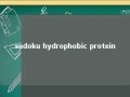 sudoku hydrophobic protein 